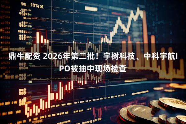 鼎牛配资 2026年第二批！宇树科技、中科宇航IPO被抽中现场检查