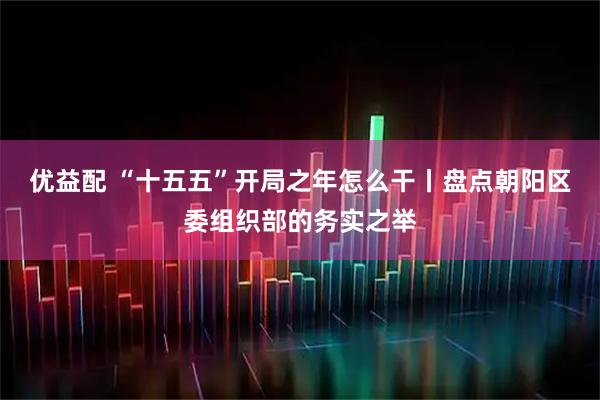 优益配 “十五五”开局之年怎么干丨盘点朝阳区委组织部的务实之举