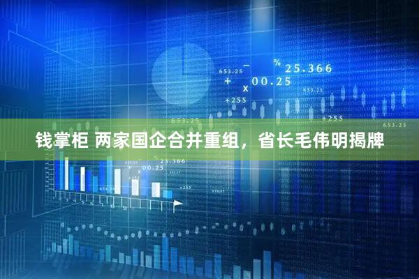 钱掌柜 两家国企合并重组，省长毛伟明揭牌